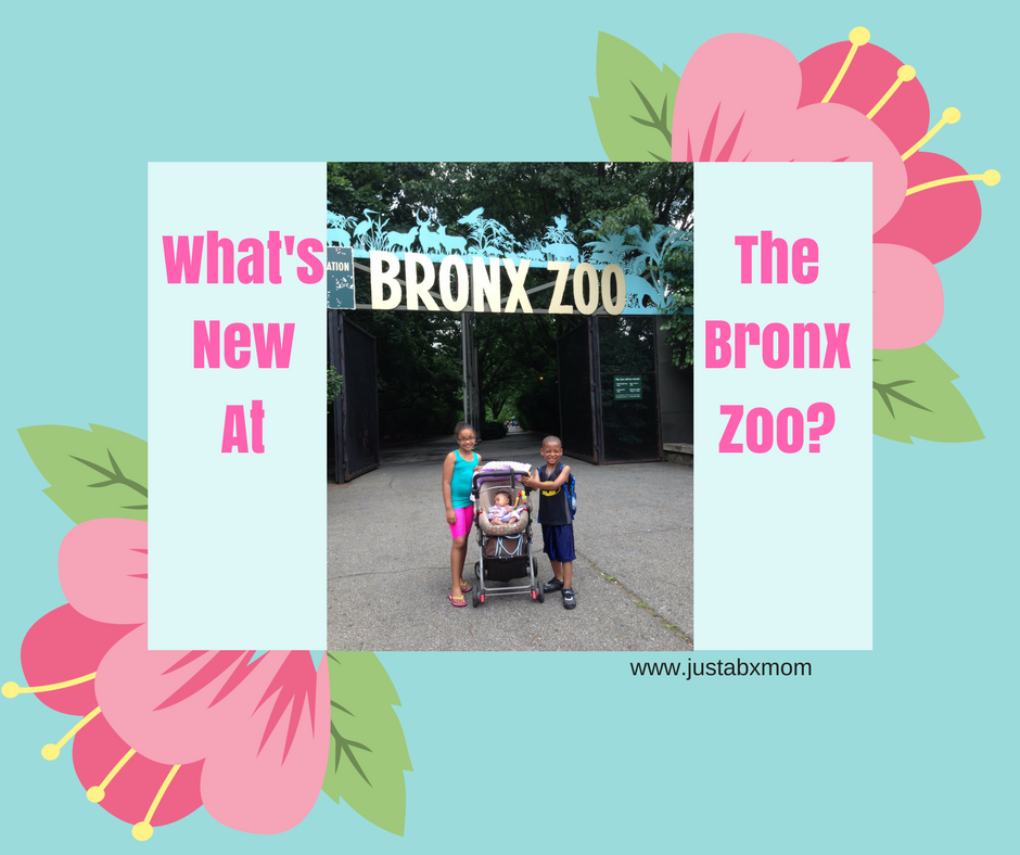 What's New At The Bronx Zoo? | justaBXmom.com